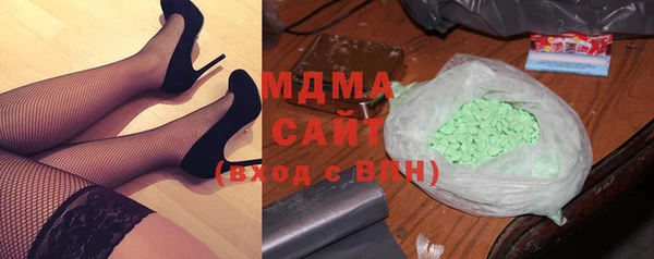 индика Новозыбков