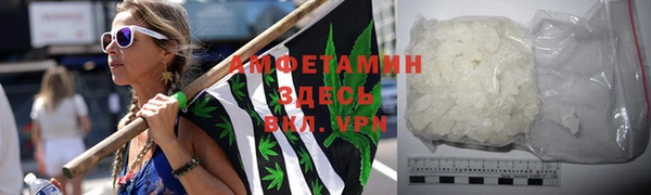 индика Новозыбков