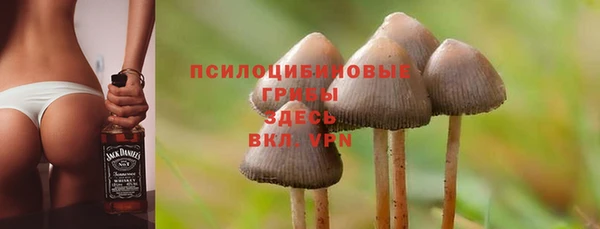 прущая мука Новодвинск