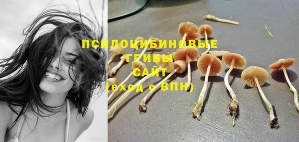 круглые Дмитриев