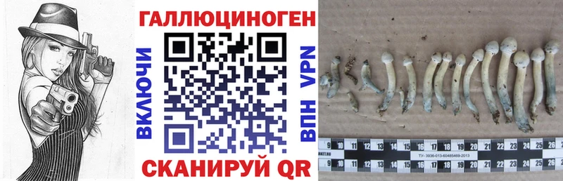 Псилоцибиновые грибы Cubensis  Певек 